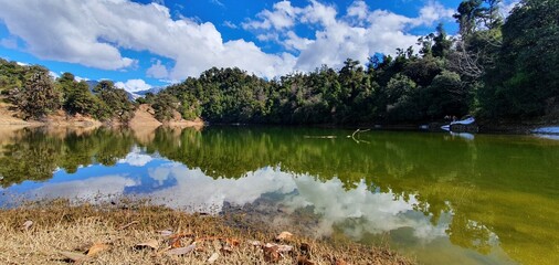 Beautiful landscape with a lake and lush green trees on the shore