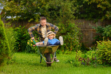 Happy Little Boy Having Fun In A Wheelbarrow Pushing By Dad In Domestic Garden On Warm Sunny Day. Active Outdoors Games For Family With Kids In The Backyard In Summer