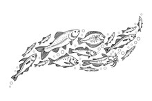 Fish Wave Composition. Decorative Flock Of Fish. Vector Illustration Of School Of Fish