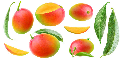 Leinwandbilder - Isolated mango collection. Multicolored red and green mango fruits of different shapes, pieces and leaves isolated on white background