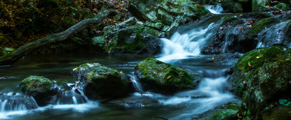 Poster - forest waterfall