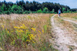 © Alesia - Summer rural landscape. Field, forest and blue sky.