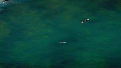 Poster - Aerial drone top view of young surfers waiting for big ocean waves, Sydney, Australia