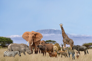group of african safari animals stand together in savanna with background of kilimanjaro in wildlife