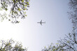 © @skuder_photographer - Plane crossing the sky of leaden or white colour. It can be seen between the branches of the trees of the city. Concept holidays and travels.