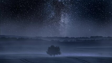 Wall Mural - milky way over one tree on field, timelapse