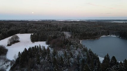 Sticker - View of snow-covered dense pine forest and frozen lake on winter day in Denmark. Natural landscape