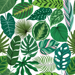 Wall Mural - Tropical leaves seamless pattern. Exotic plant texture