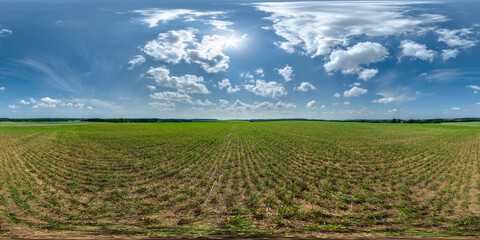 Wall Mural - full seamless 360 hdri panorama view among farming field with sun and clouds in overcast sky in equi