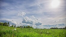 A Sunny Cloudscape Over A Field Of Grass, Dandelions In The White Puffball Reproductive Stage, And Trees - Wide Angle Time Lapse