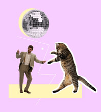 Contemporary Art Collage. Cheerful Man In Retro Suit Dancing With Giant Cat Under Disco Ball Isolated On Pink Background