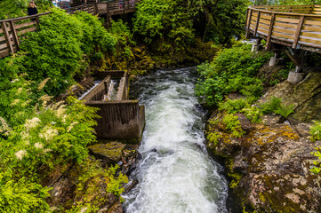 Wall Mural - A view down the creek towards a Salmon ladder in Ketchikan, Alaska in summertime