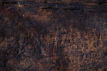 Poster - Old weathered wood texture