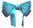 Blue bow-knot- 3d rendering - illustration