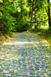Picturesque landscape view of winding cobble stone pathway along green trees in the city park. Beautiful sunny morning. Stone paved road in green park