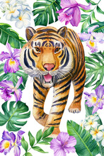 Print Tropical Leaves And Tiger. Watercolor Illustration, Jungle Design. Postcard