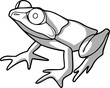Charming frog in shades of gray vector drawing made by hand in one line for coloring books and for illustrations