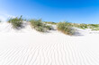 © eyetronic - White sandy beach with dune grass