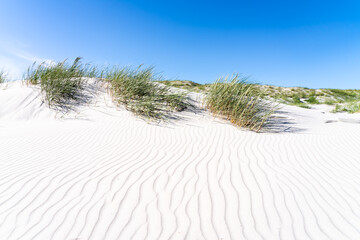 Wall Mural - white sandy beach with dune grass