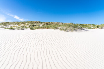 Wall Mural - White sandy dune beach with beach grass on a sunny day