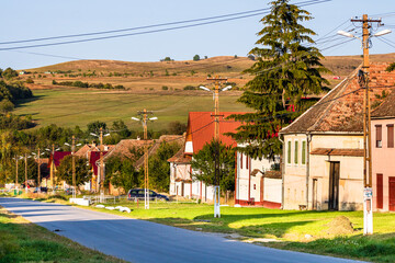 Wall Mural - View of picturesque village Viscri in Romania. Painted traditional old houses in medieval Saxon village of Viscri, Romania, 2021