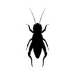 Black silhouette of cricket. Realistic orthopteran insect with long antennae. Monochrome beetle emitting loud vector chirp