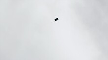 Panning A Parachutist Jumpsuit Pilot Soaring Through The Sky With A Deployed Parachute - Panama City, Panama