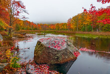 Autumn Scene Of Fall Foliage Around A Pond With Large Rock Covered With Red Leaves