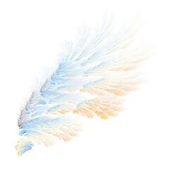 Wall Mural - Abstract ice bird wings illustration