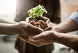© Koegelenberg/peopleimages.com - Community hands together holding plant life for growth, support and a green natural lifestyle. Closeup of team taking care of nature and plants. Group working together for the future and happy earth