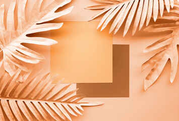 Wall Mural - Collection of tropical leaves,foliage plant with geometric color space background.