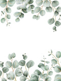 Fototapeta  - Green leaves eucalyptus border frame, greenery arrangement