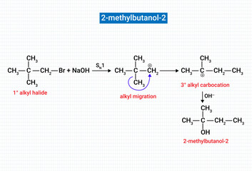 Wall Mural - 2-Methyl-2-butanol is a natural product found in Manilkara zapota and Centella asiatica with data available