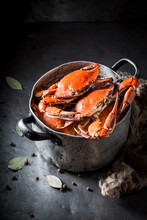 Ingredients For Fresh Red Crabs In Old Rustic Metal Pot.