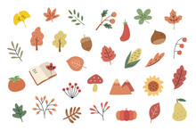 Hand Drawn Set Of Autumn Leaves And Berries, Fall, Autumn Mood Objects