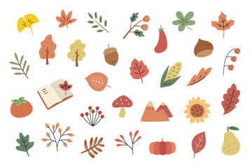 hand drawn set of autumn leaves and berries, fall, autumn mood objects