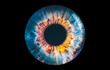 canvas print picture - eye iris