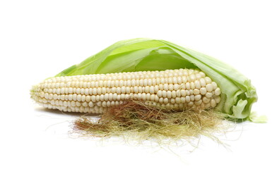 Wall Mural - Cob of corn with green leaves isolated on white