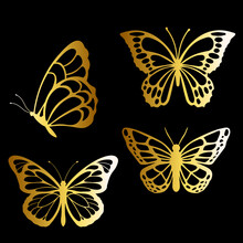 Collection Of Shiny Gold Butterfly Vector