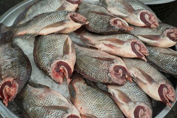 Animal products for cooking are sold at the street food market. Fresh fish meat is a popular traditional Thai food in the morning market..