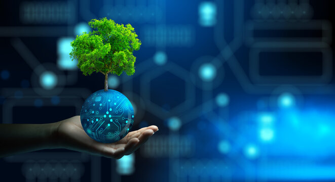 Wall Mural -  - Man hand holding Tree on digital ball with technological convergence blue background. Green computing, csr, IT ethics, Nature technology interaction, and Environmental friendly.
