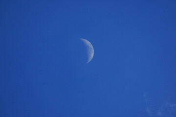 Wall Mural - Crescent moon with blue sky for background.
