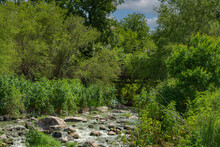 Edwards Aquifer Spring Fed San Pedro Creek Emerges Underneath Bridge Surrounded By Summer Green Foliage And Trees With Shimmering Water Captured As It Cascades Over Rocks And Boulders In The Creek