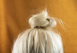 © Susie Hedberg - Close up of blonde hair that is put up in a casual messy hair bun and hairstyle.