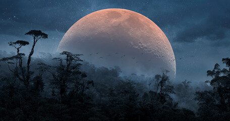 Wall Mural - blood moon in the rainforest