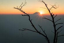 Silhouette Of Tree Branches On A Sunset Sky Background