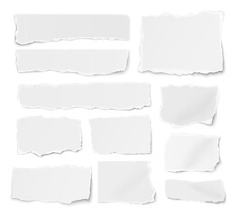 Wall Mural - Set of paper different shapes ripped scraps fragments wisps isolated on white background.