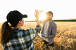 © scharfsinn86 - Farmers man and woman with tablet and laptop high five in wheat field at sunset