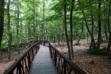 Fototapeta Na ścianę - wooden bridge in the forest