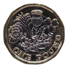 Wall Mural - New 1 pound coin, United Kingdom transparent PNG